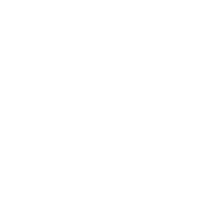 Logotip tvrtke DSS Services.